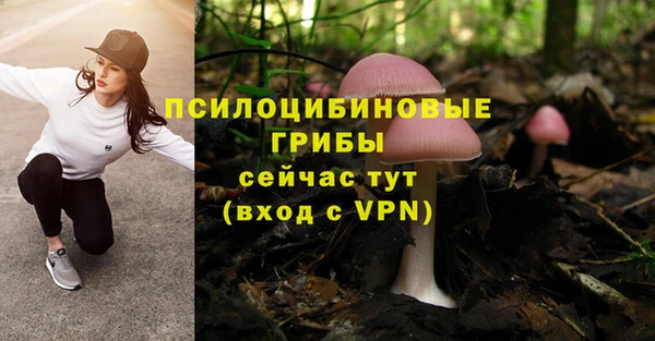 экстази Богородицк