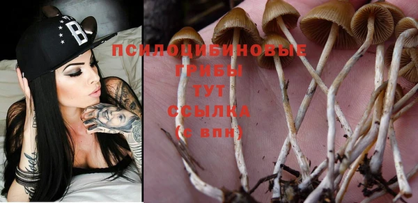 твердый Бронницы