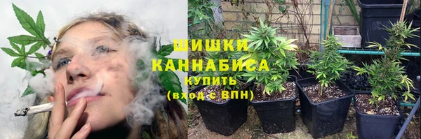 твердый Бронницы