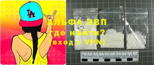 прущие грибы Богданович