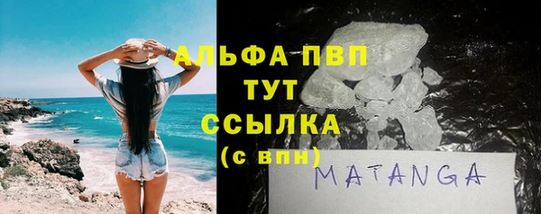 прущие грибы Богданович