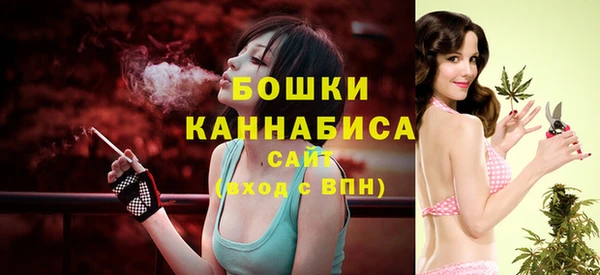 твердый Бронницы