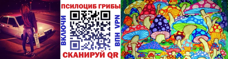Псилоцибиновые грибы прущие грибы  mega как войти  Горно-Алтайск 