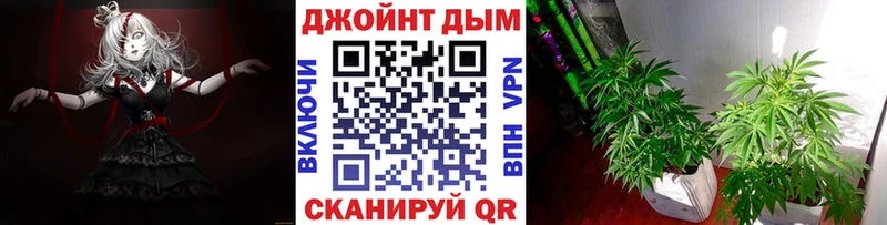 как найти закладки  Горно-Алтайск  МАРИХУАНА сатива 